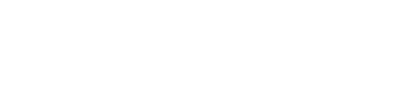 Megadyne