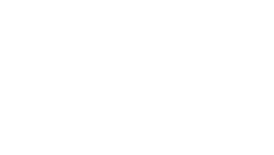 Minimizer